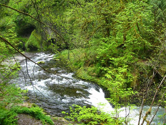 Eagle Creek-128.JPG - Eagle Creek